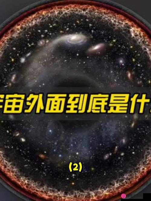 别顶了视频：揭秘真相，揭示隐藏的秘密